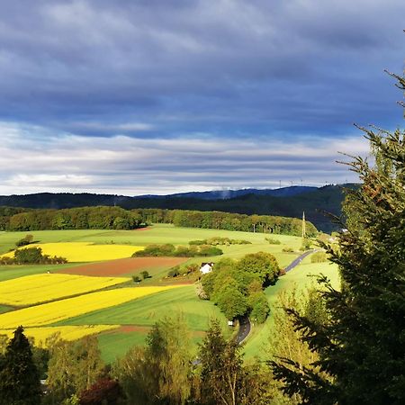 Geraeumige 2-Z Wohnung Im Gruenen, Garten, Terrasse, Ruhig, Natur, Phantastischer Blick! Marburg Eksteriør bilde