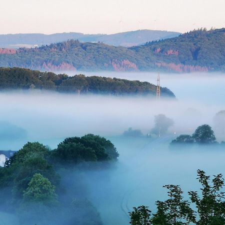 Geraeumige 2-Z Wohnung Im Gruenen, Garten, Terrasse, Ruhig, Natur, Phantastischer Blick! Marburg Eksteriør bilde