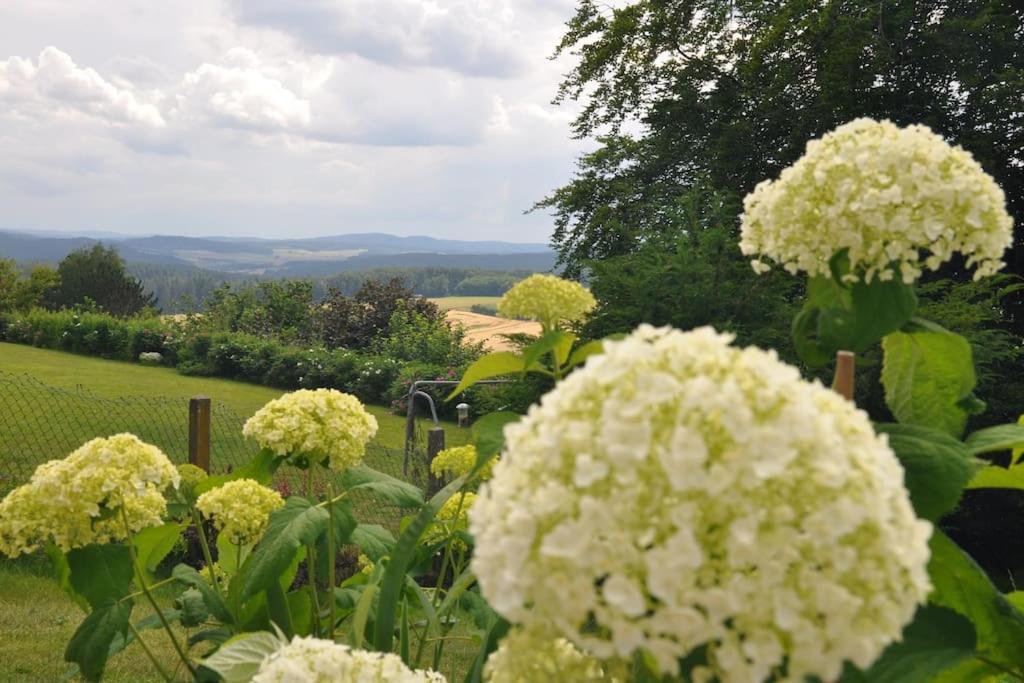 Geraeumige 2-Z Wohnung Im Gruenen, Garten, Terrasse, Ruhig, Natur, Phantastischer Blick! Marburg Eksteriør bilde