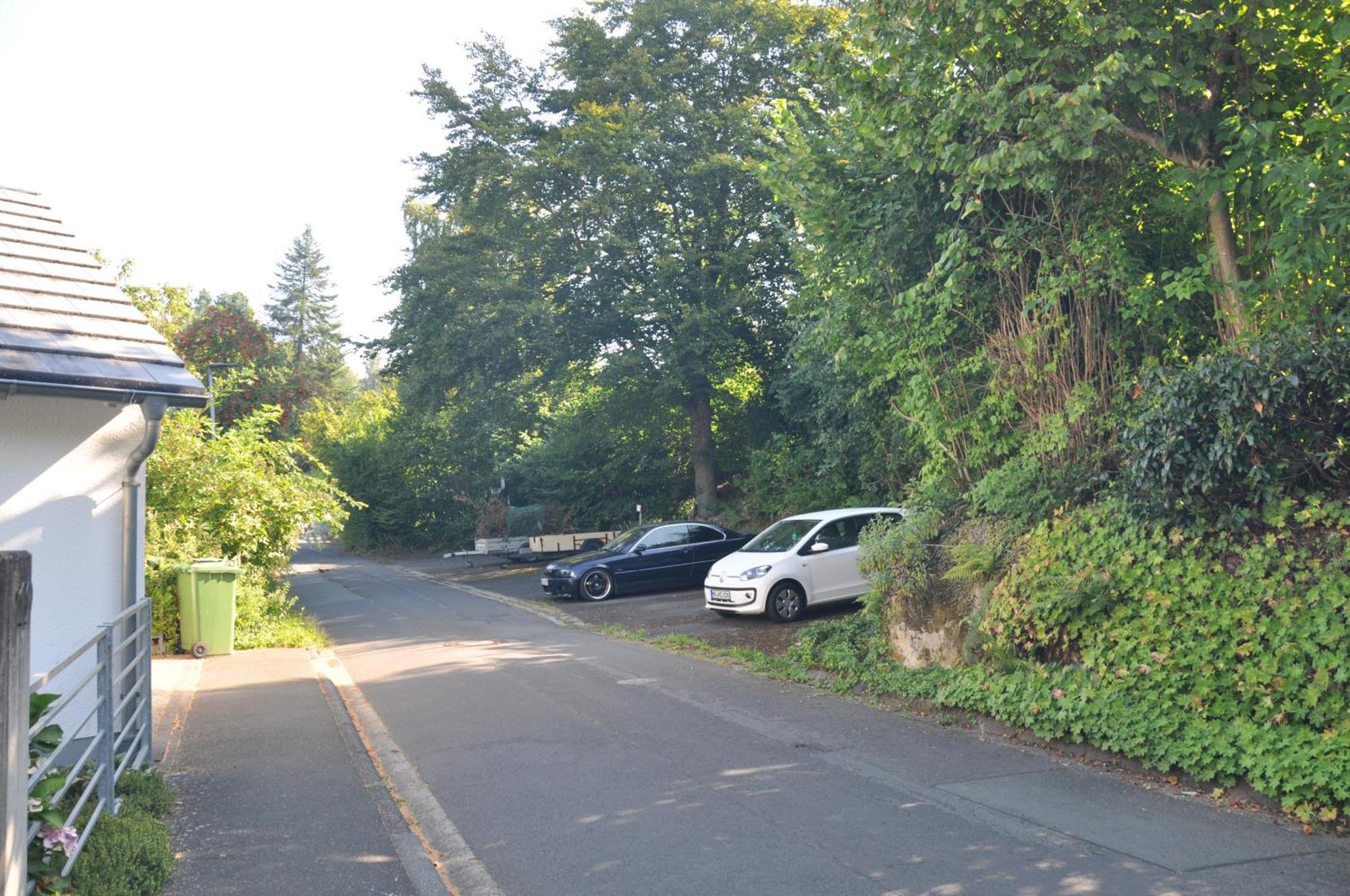 Geraeumige 2-Z Wohnung Im Gruenen, Garten, Terrasse, Ruhig, Natur, Phantastischer Blick! Marburg Eksteriør bilde
